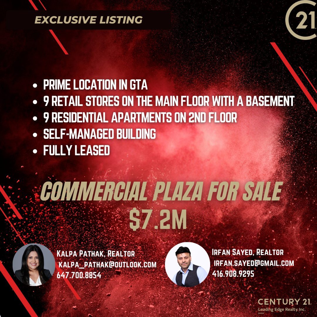 commercial plaza for sale